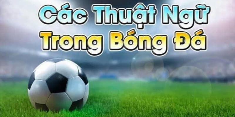 Thuật ngữ cá độ bóng đá Thuật ngữ cá độ bóng đá