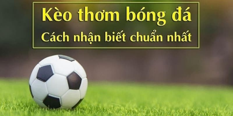 Kèo Thơm Tại 77BET - Cách Chơi Và Chiến Lược Giúp Thắng Lớn 3 Những lưu ý giúp bạn nhận diện kèo thơm chuẩn nhất