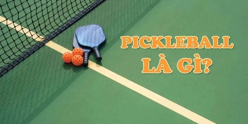 Hướng Dẫn Chơi Pickleball Chi Tiết Cho Newbie 2 Giới thiệu về bộ môn Pickleball gây sốt suốt thời gian qua